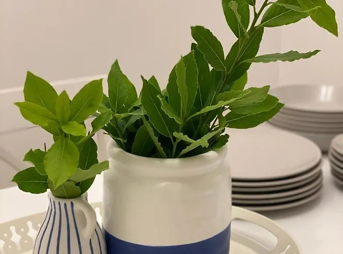 Διαμέρισμα Moro